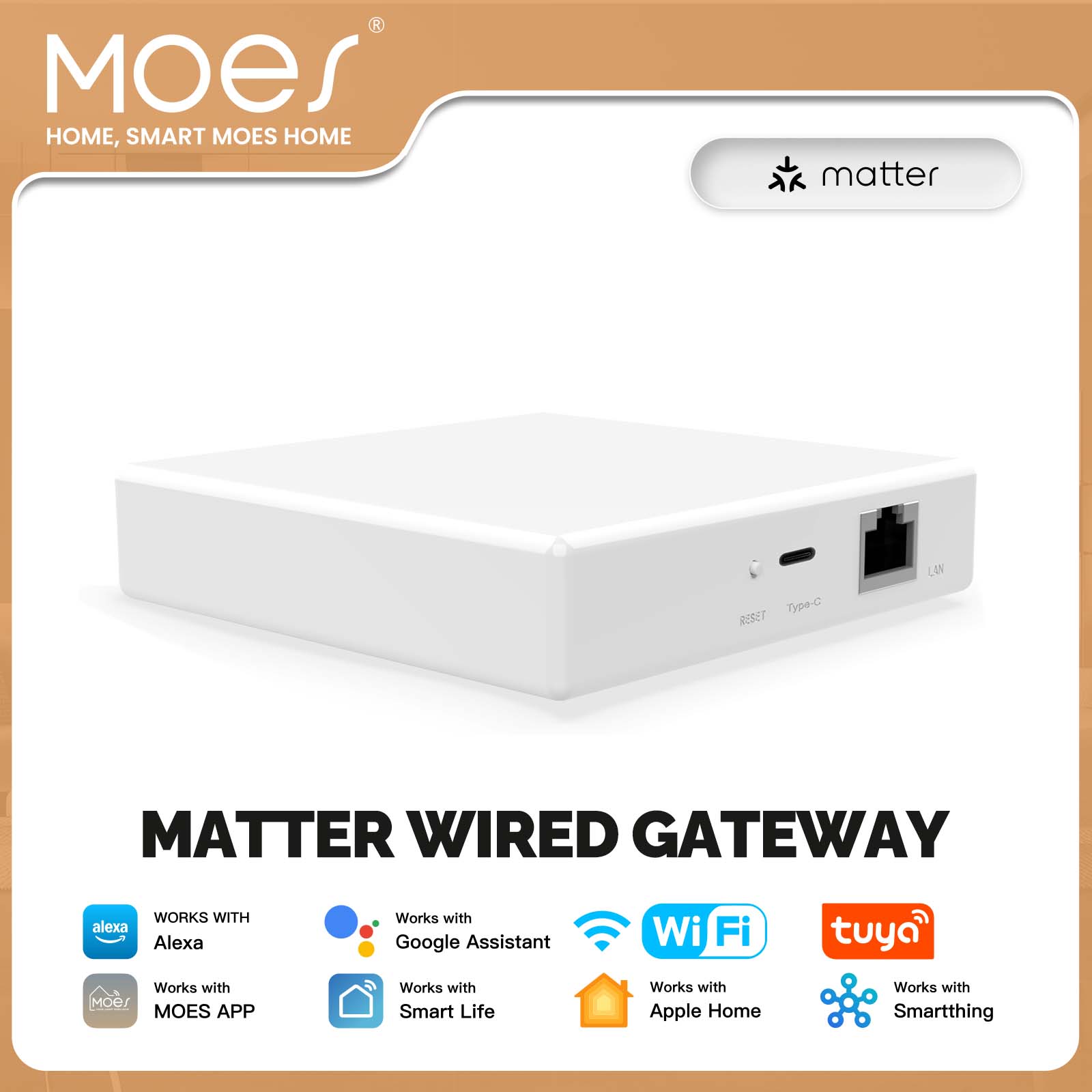 Smart Home Hub Matter - MOES Tuya ZigBee Matter Thread Ağ