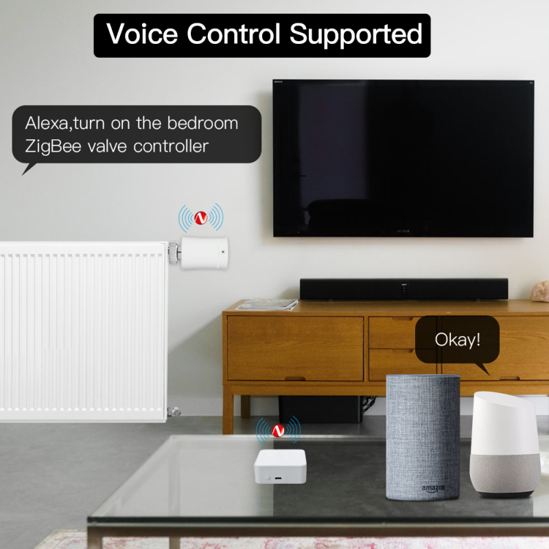 Tuya Akıllı Ağ Geçidi Hub Çok  - Smart Home Hub Matter incelemesi ve fiyatı