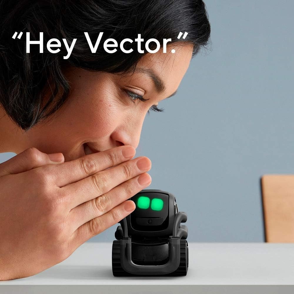 Yapay Zeka ChatGPT 2.0 Bağlant - Smart Home Ai incelemesi ve fiyatı